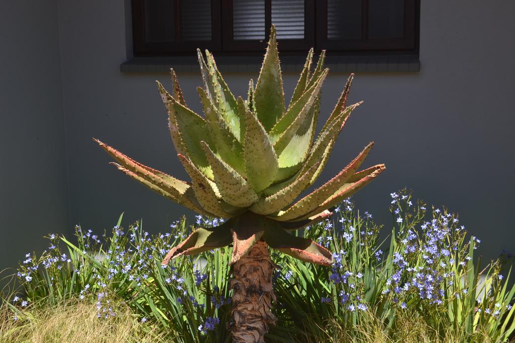 Be At Home Guesthouse Klerksdorp Exterior photo